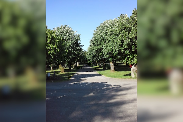 Camping Du Château de Leychoisier