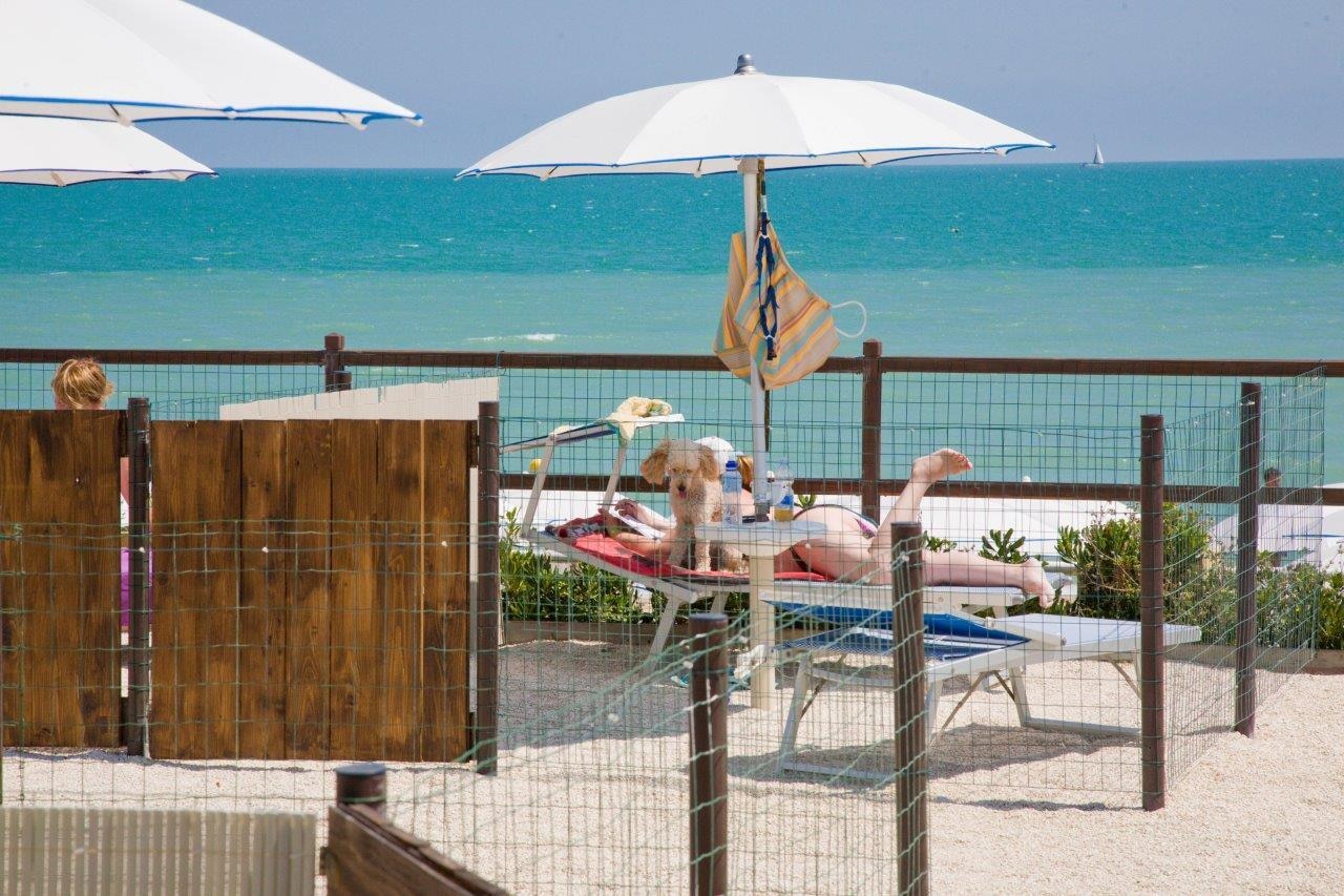 Camping La Medusa