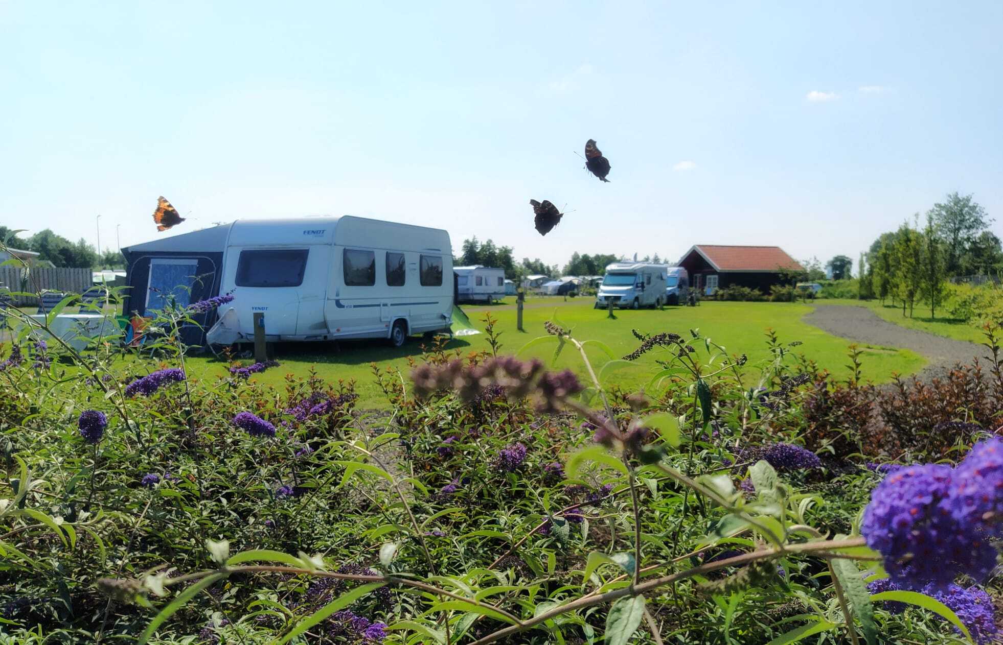 Natuurlijk de Veenhoop