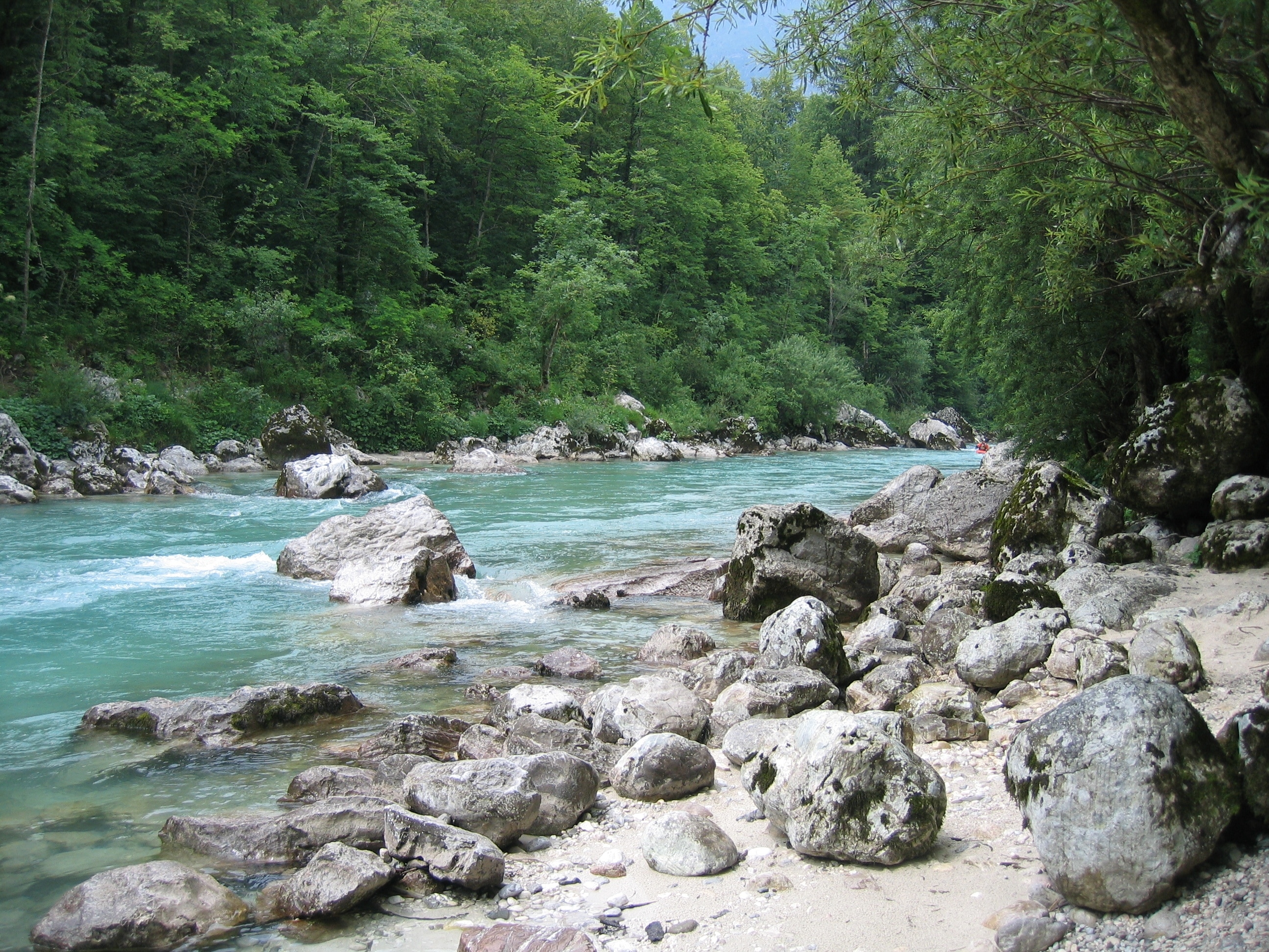 Eco-Camping & Chalets Koren