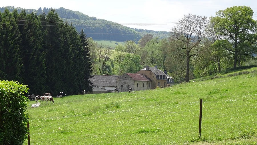 Camping Neumühle
