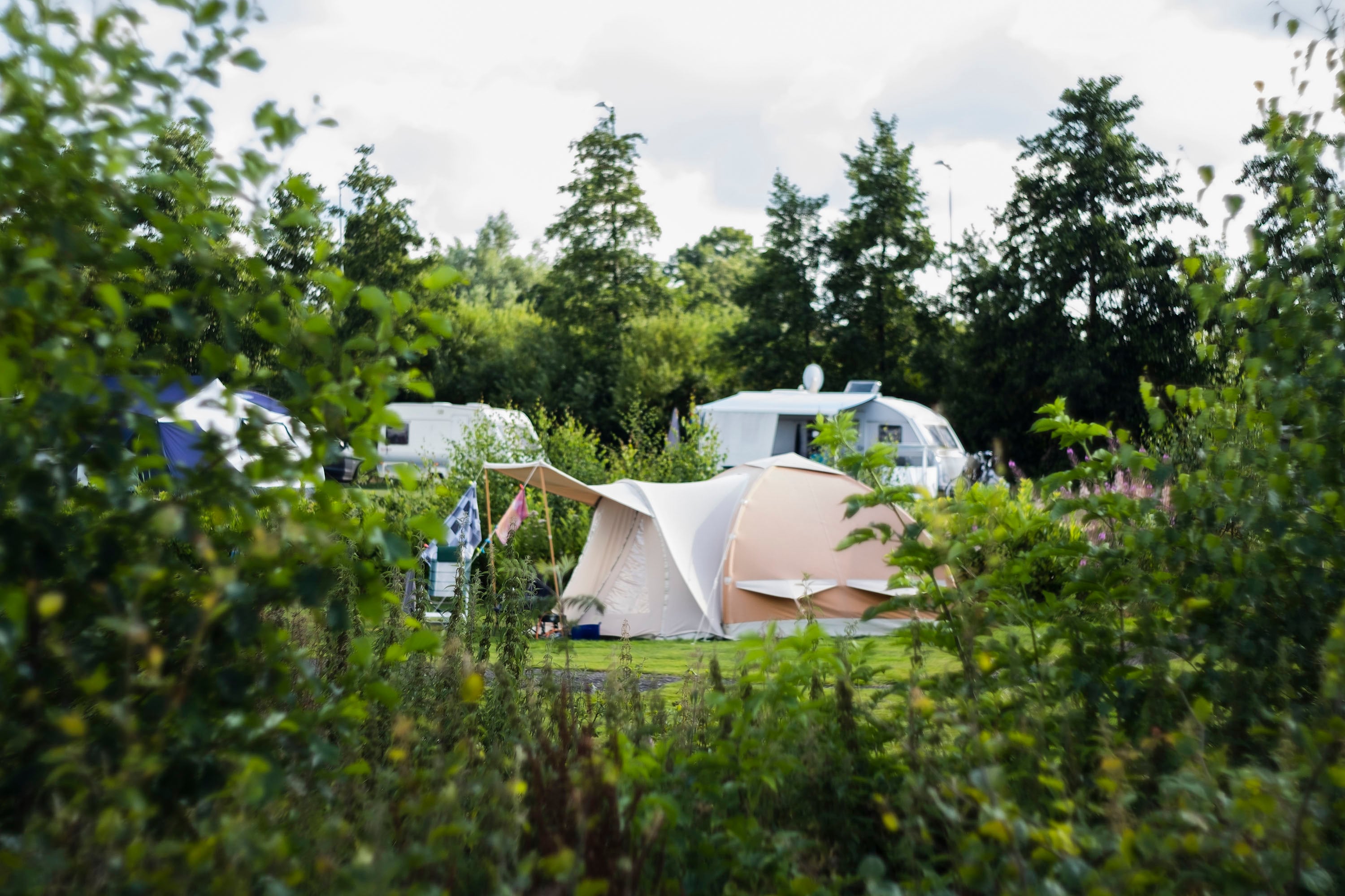 camping Natuurlijk de Veenhoop