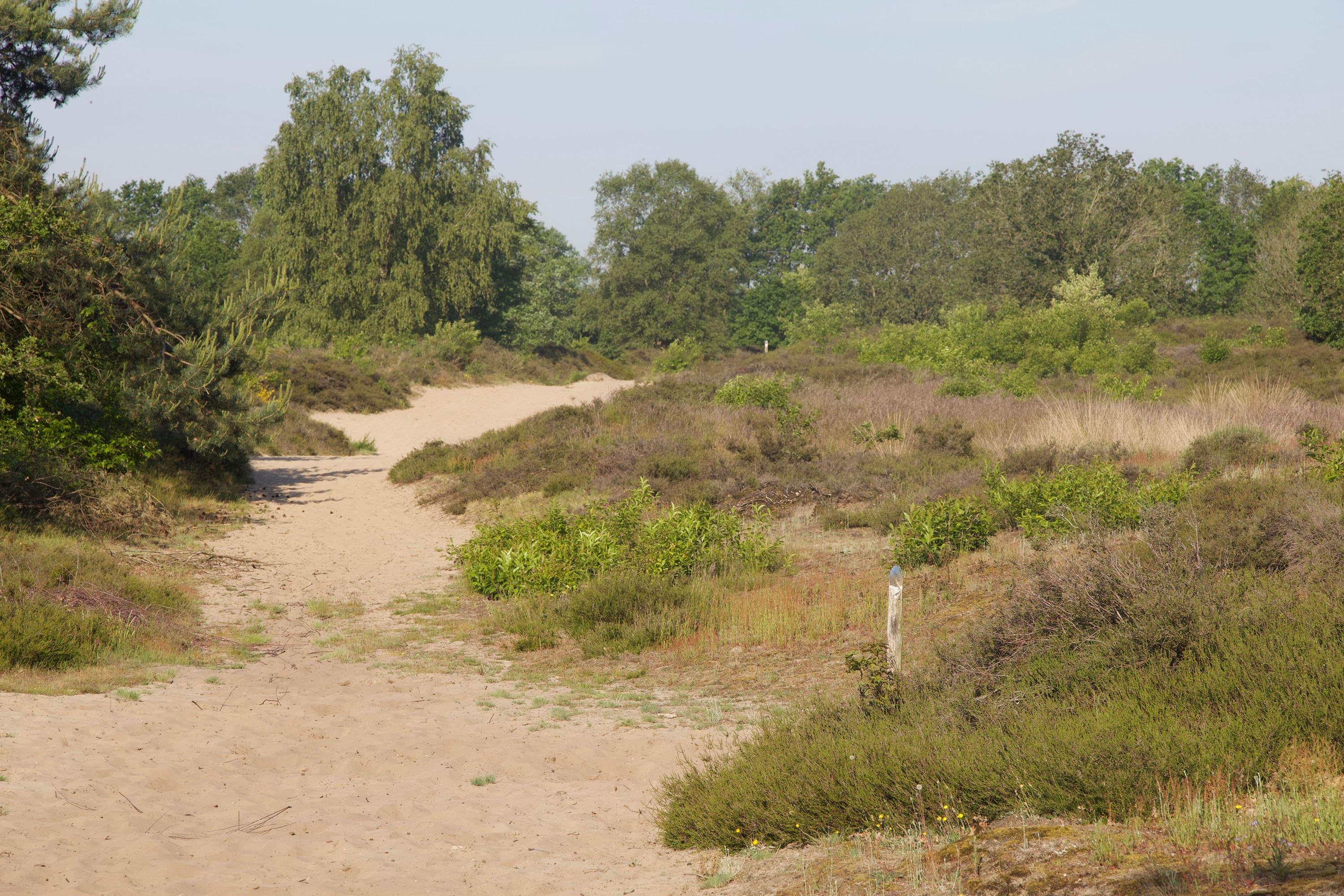 Camping Landgoed Börkerheide