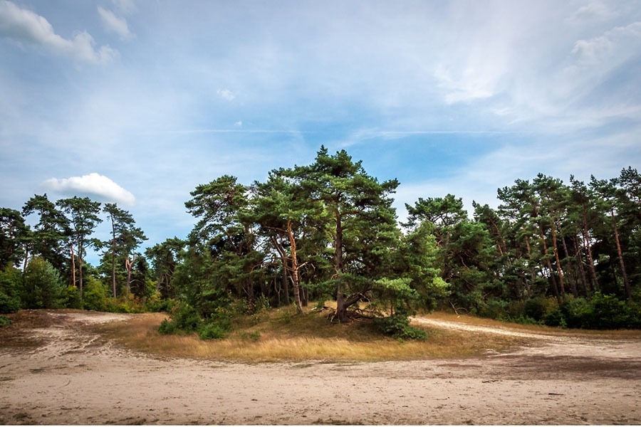 Camping de Pallegarste