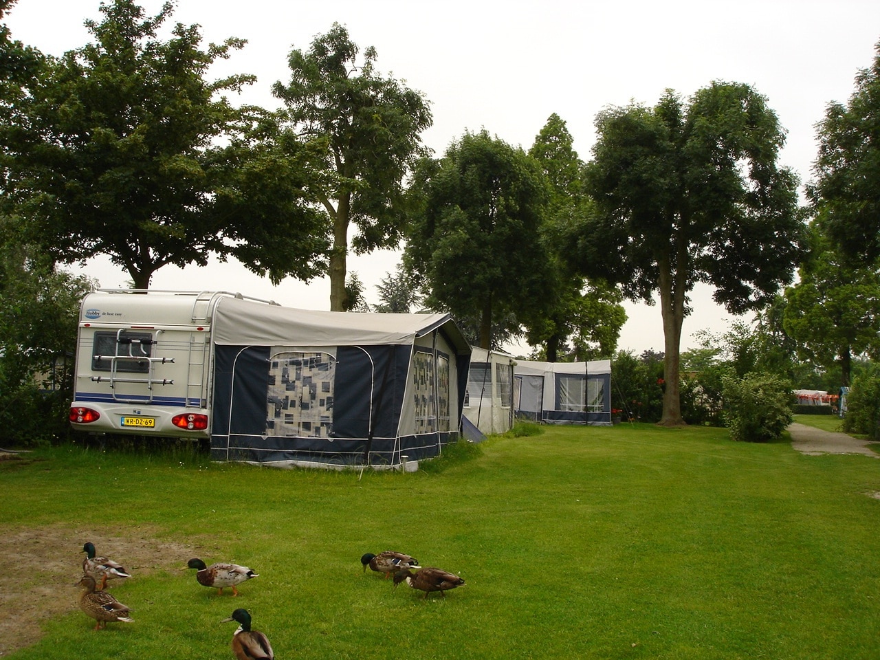 Camping Betuwestrand