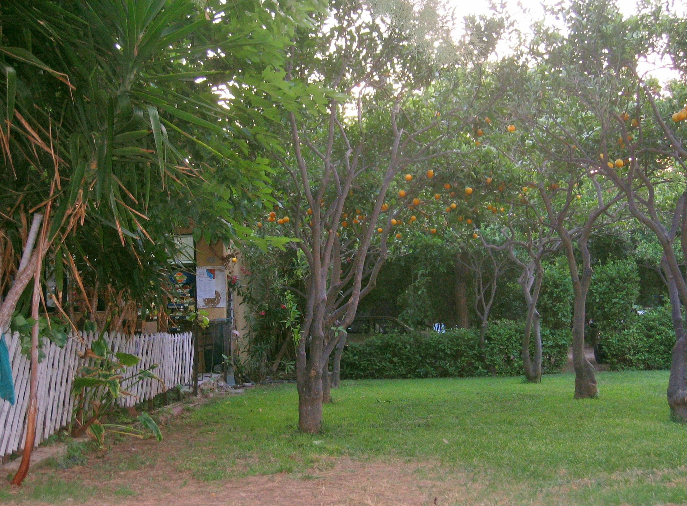 Camping Nicolas I