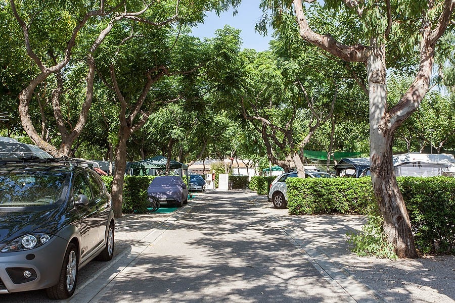 Bonterra Resort - Camping & Bungalows