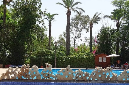 Camping Internacional Las Palmeras