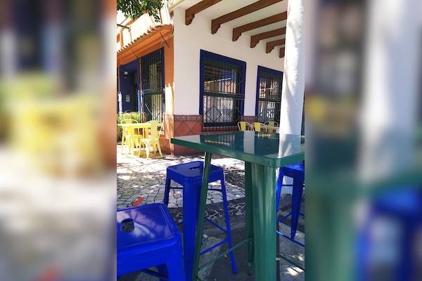 Camping Internacional Las Palmeras