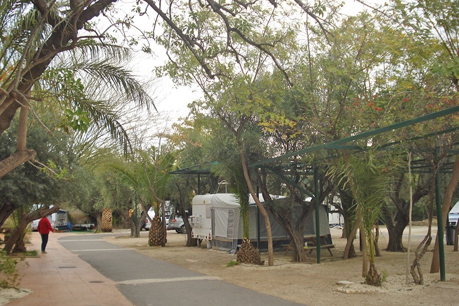 Camping Internacional Las Palmeras