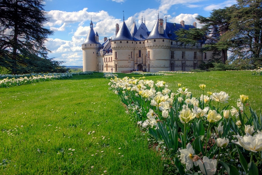 Camping Les Saules