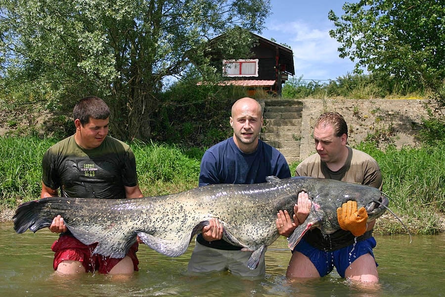 Camping d'Uchizy