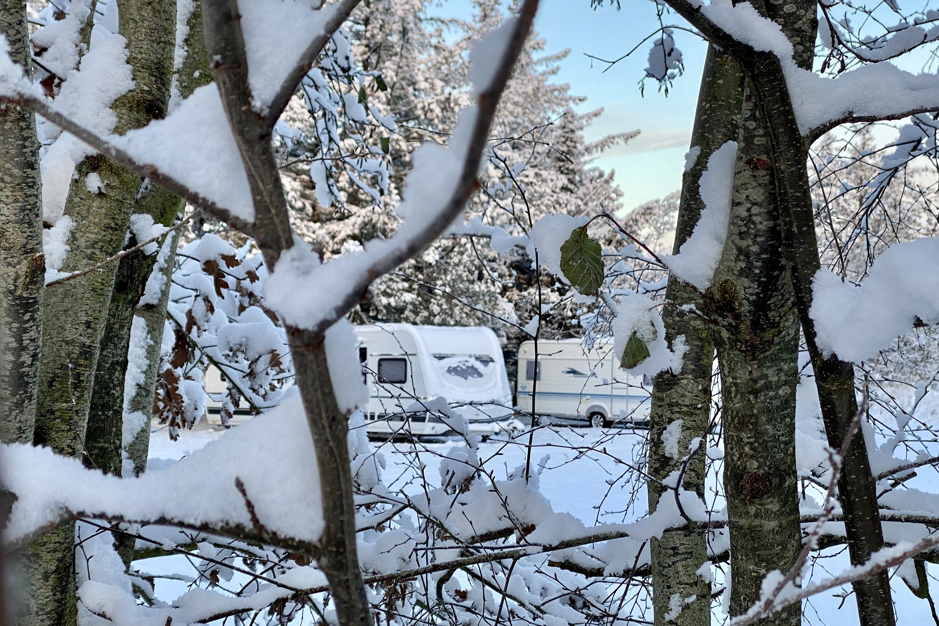 Blokhus Natur Camping