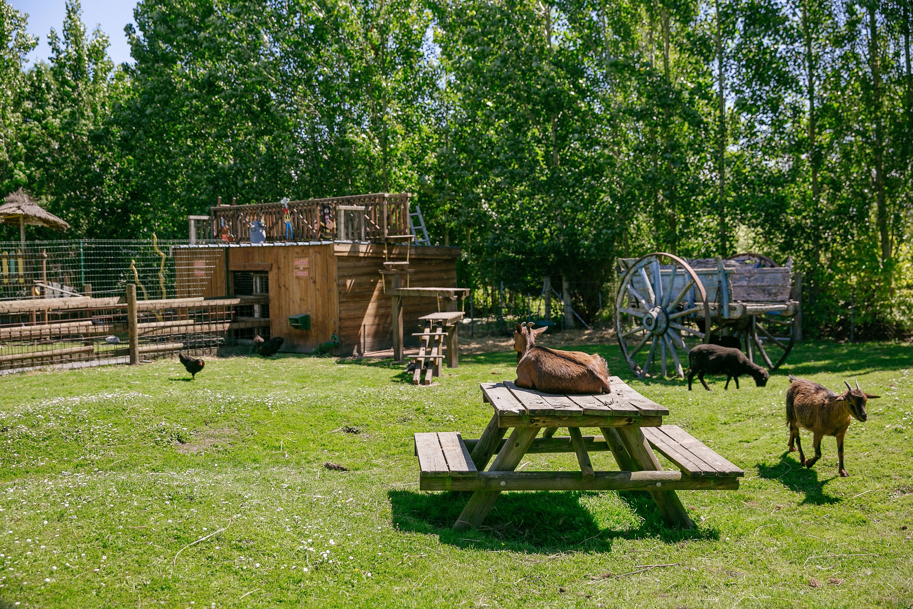 Camping Seasonova Saint Michel