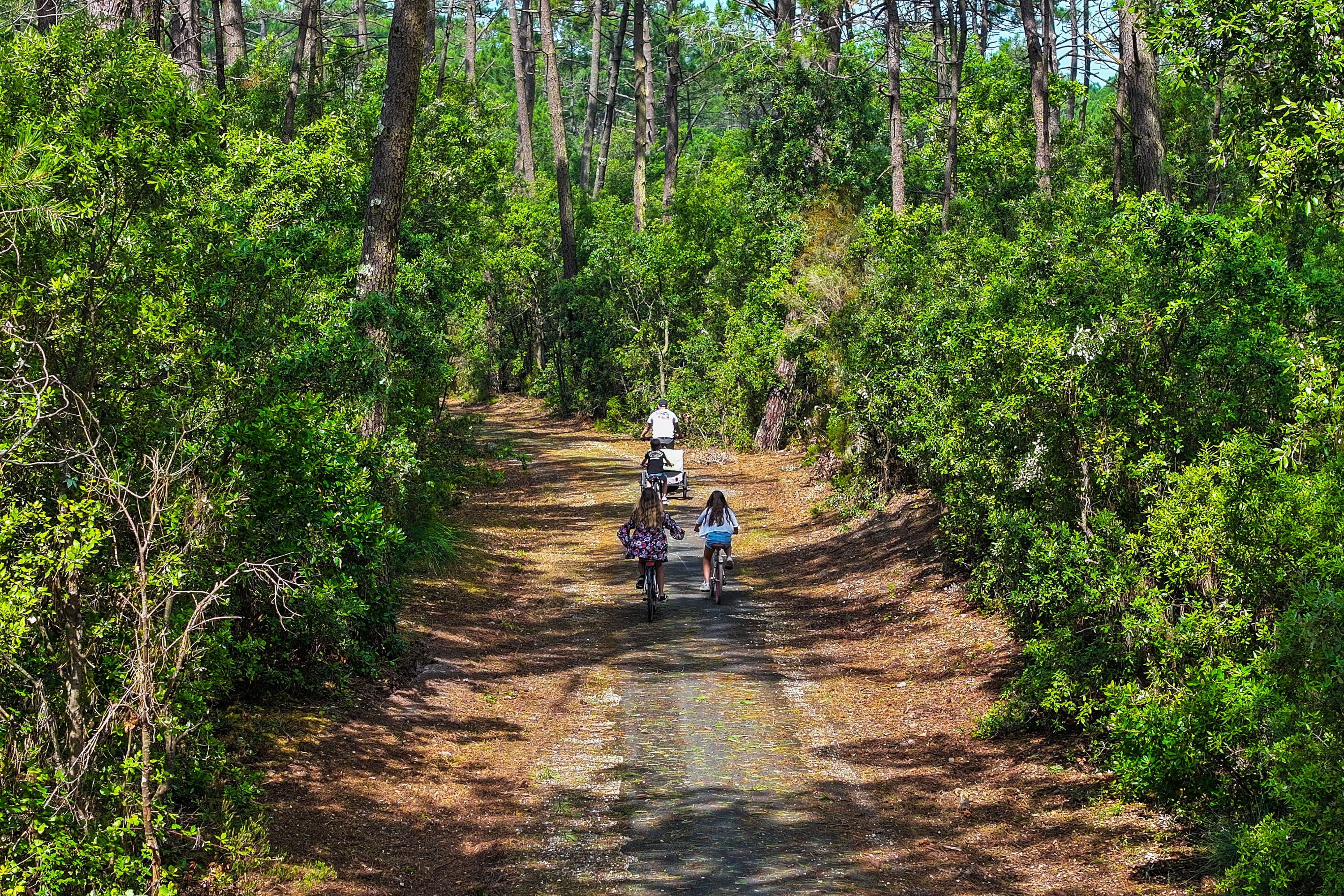 Camping de la Côte d'Argent