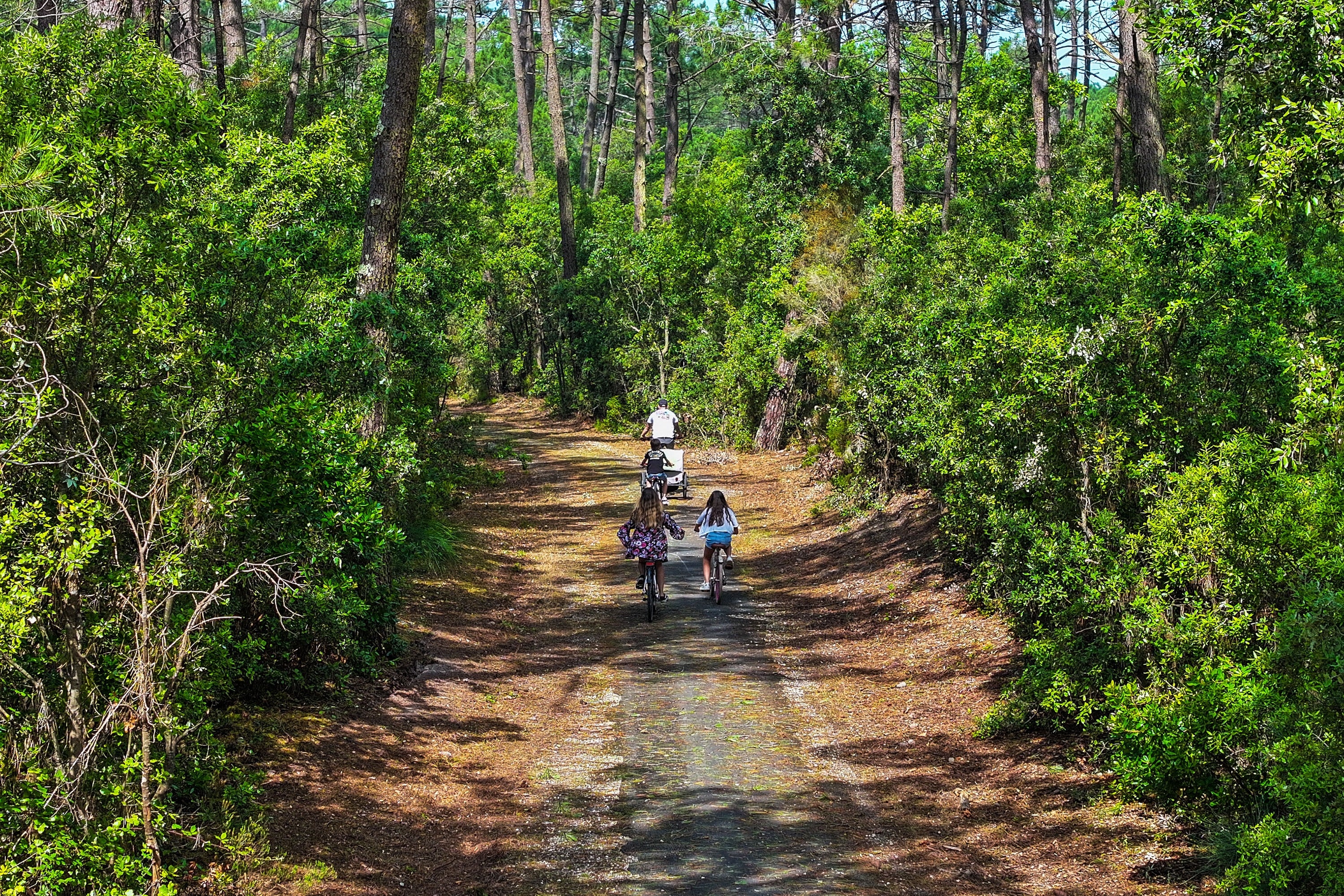 Camping de la Côte d'Argent