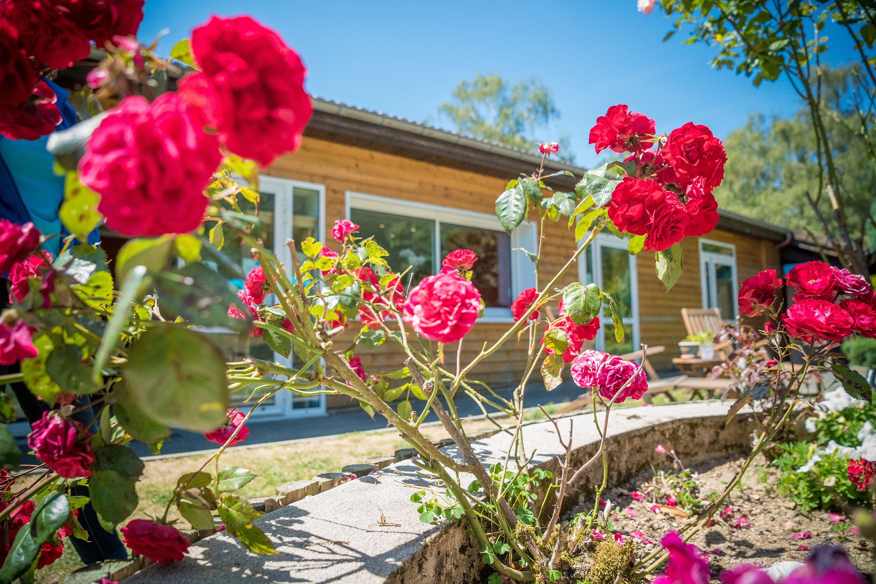 Camping Paradis Les Chanterelles