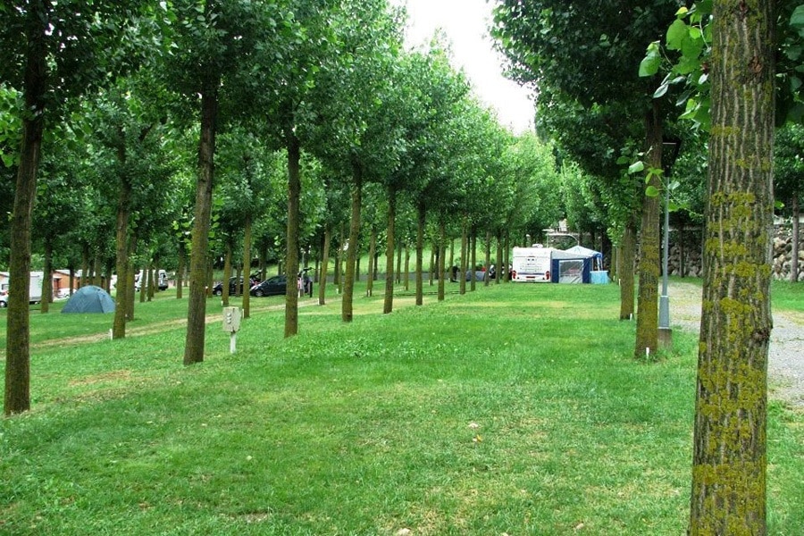 Nou Camping S.L.
