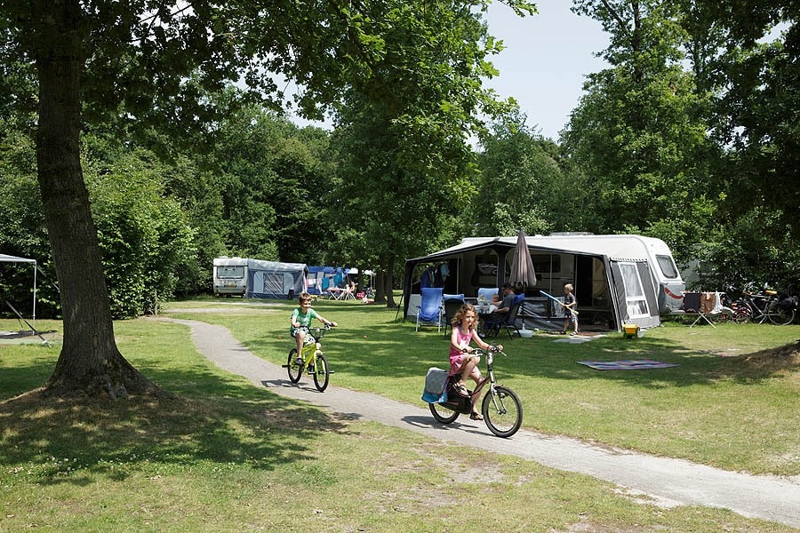 Molecaten Park 't Hout