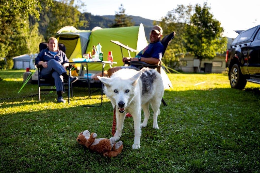 Camping Rothenfels