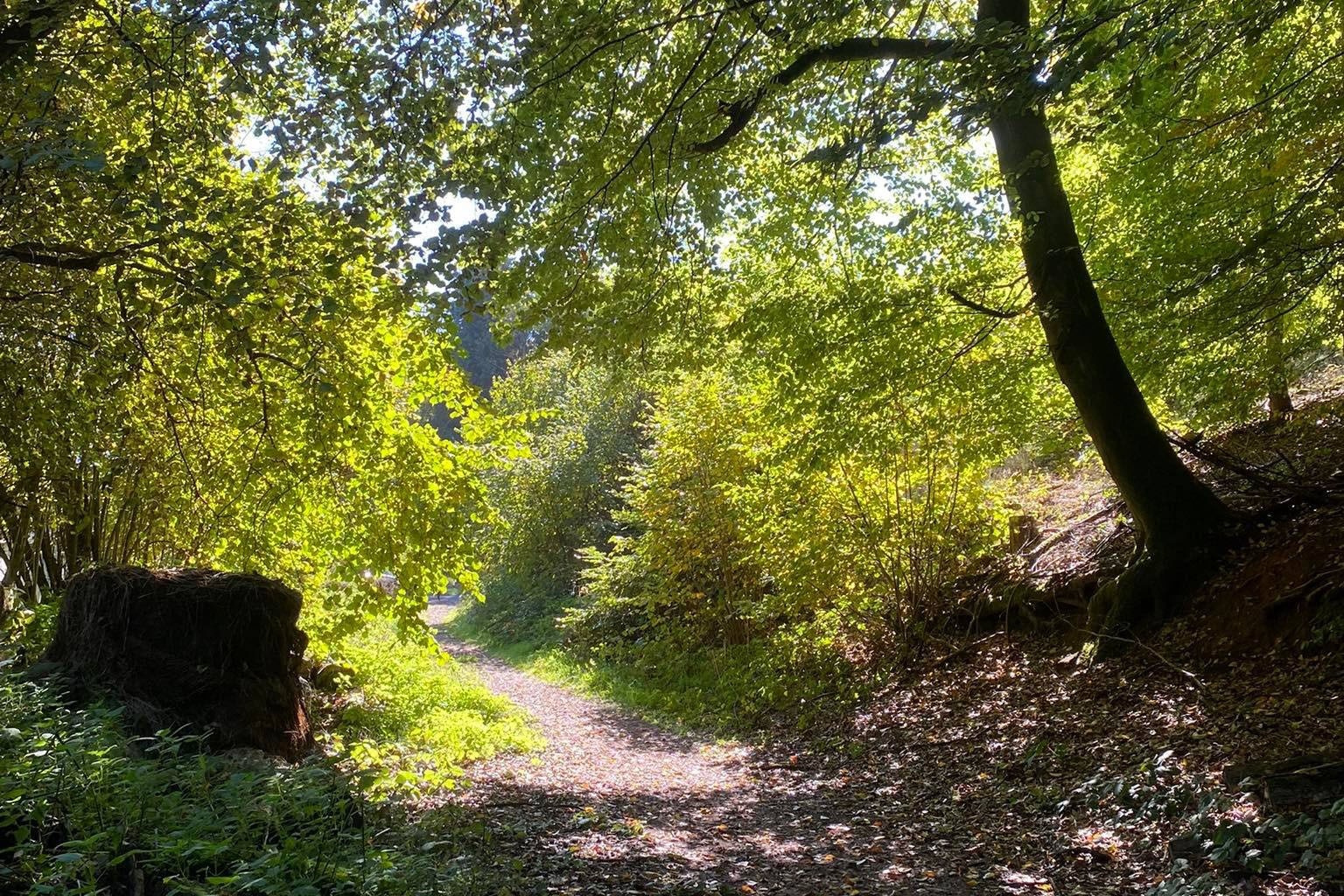 Camping Waldfrieden