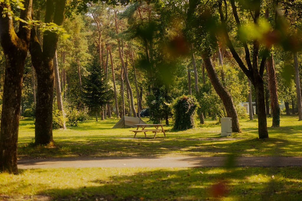 AZUR Waldcamping Ingolstadt