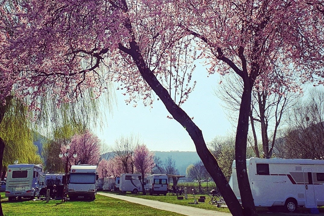Camping De la Sûre Reisdorf