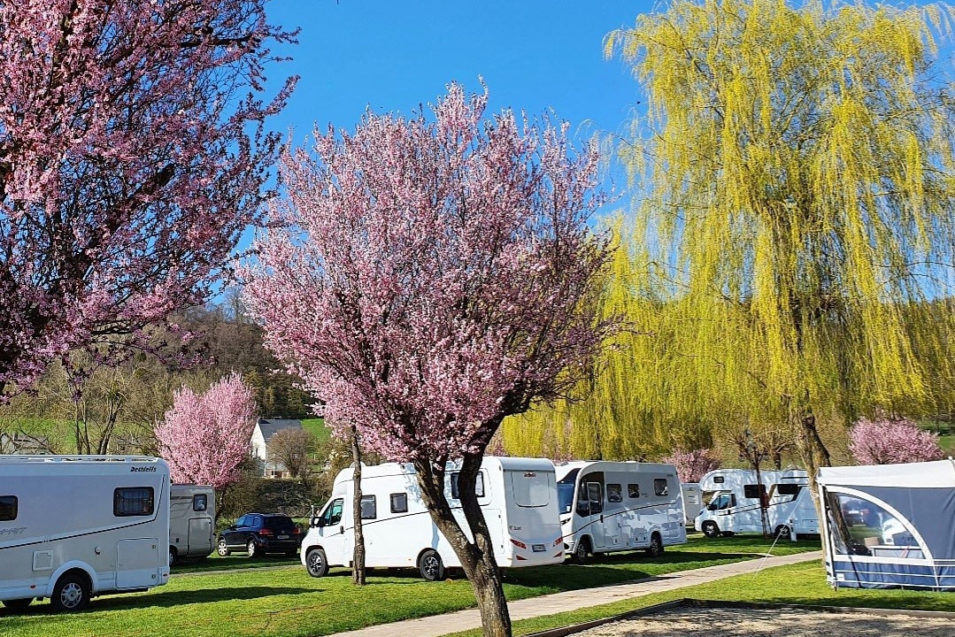 Camping De la Sûre Reisdorf
