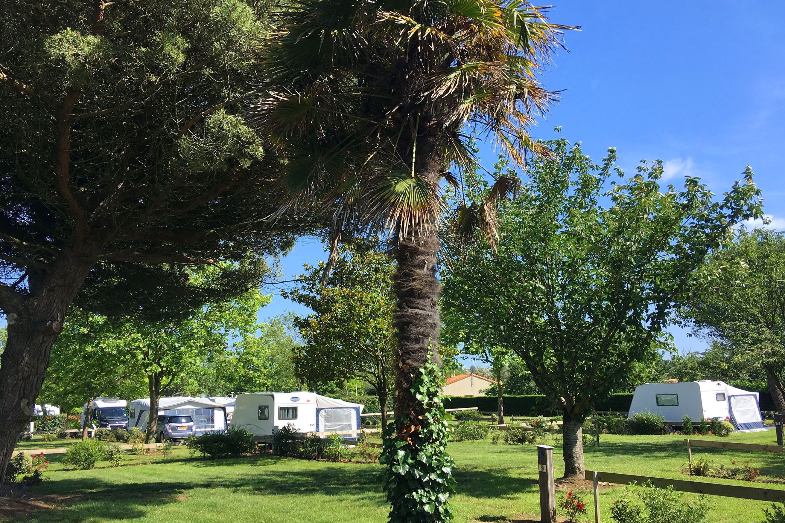 Camping L'Océano d'Or
