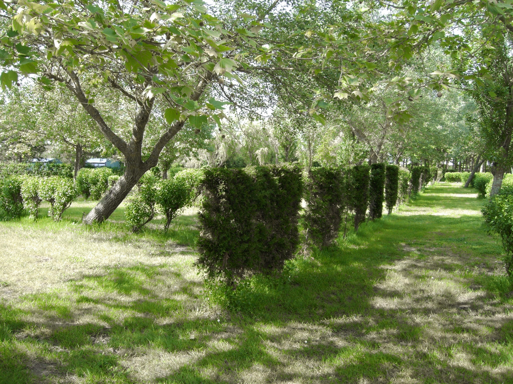 Camping Le Domaine de Beaulieu