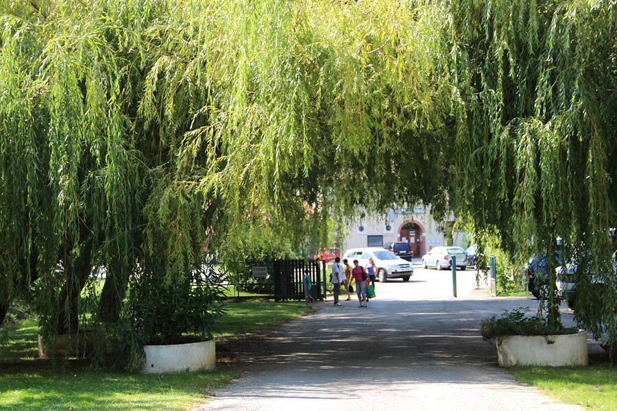Flower Camping du Lac de la Thésauque
