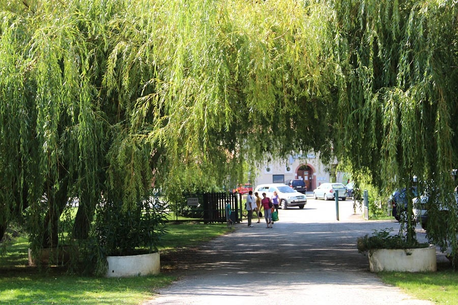 Flower Camping du Lac de la Thésauque