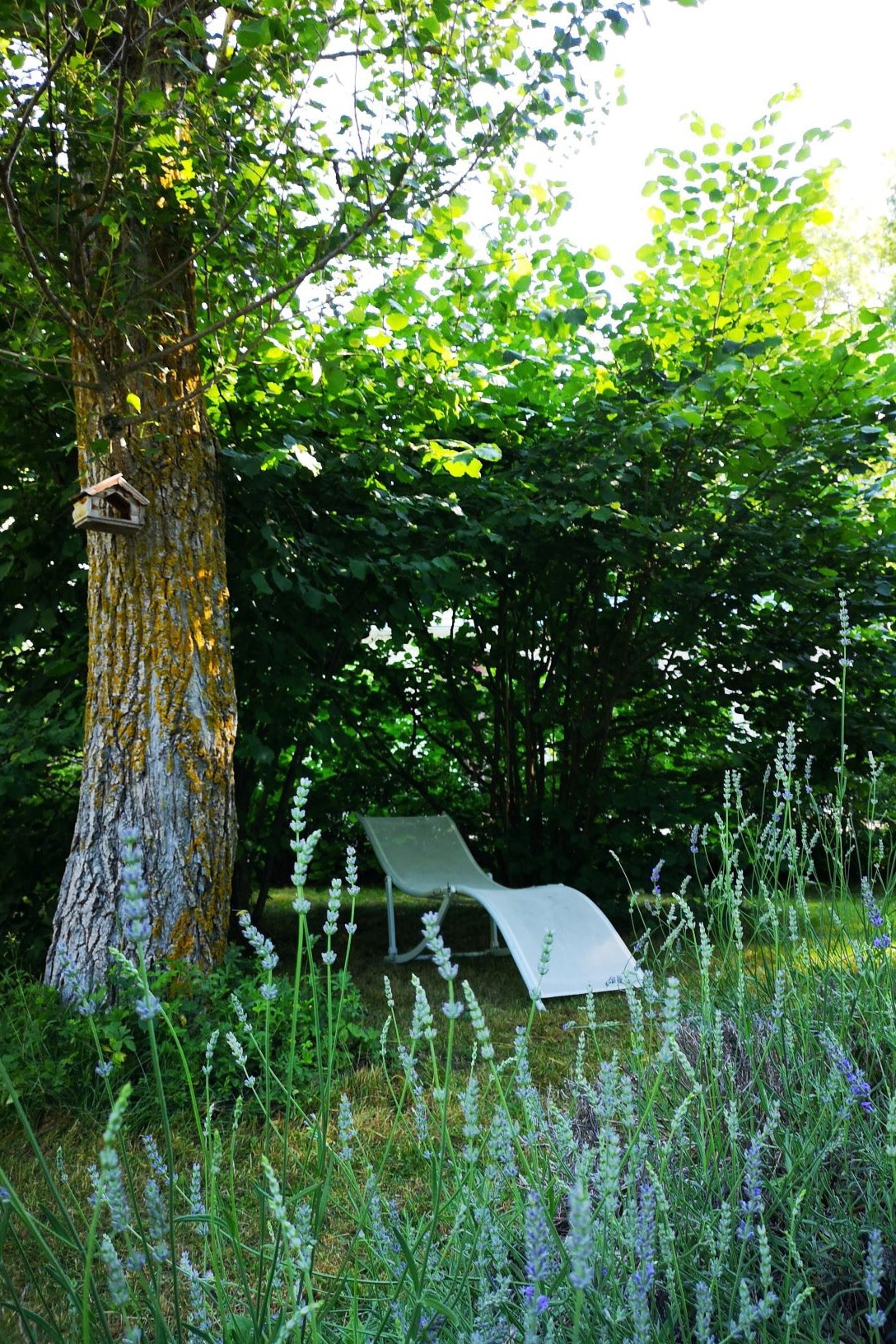 Camping Le Rioumajou