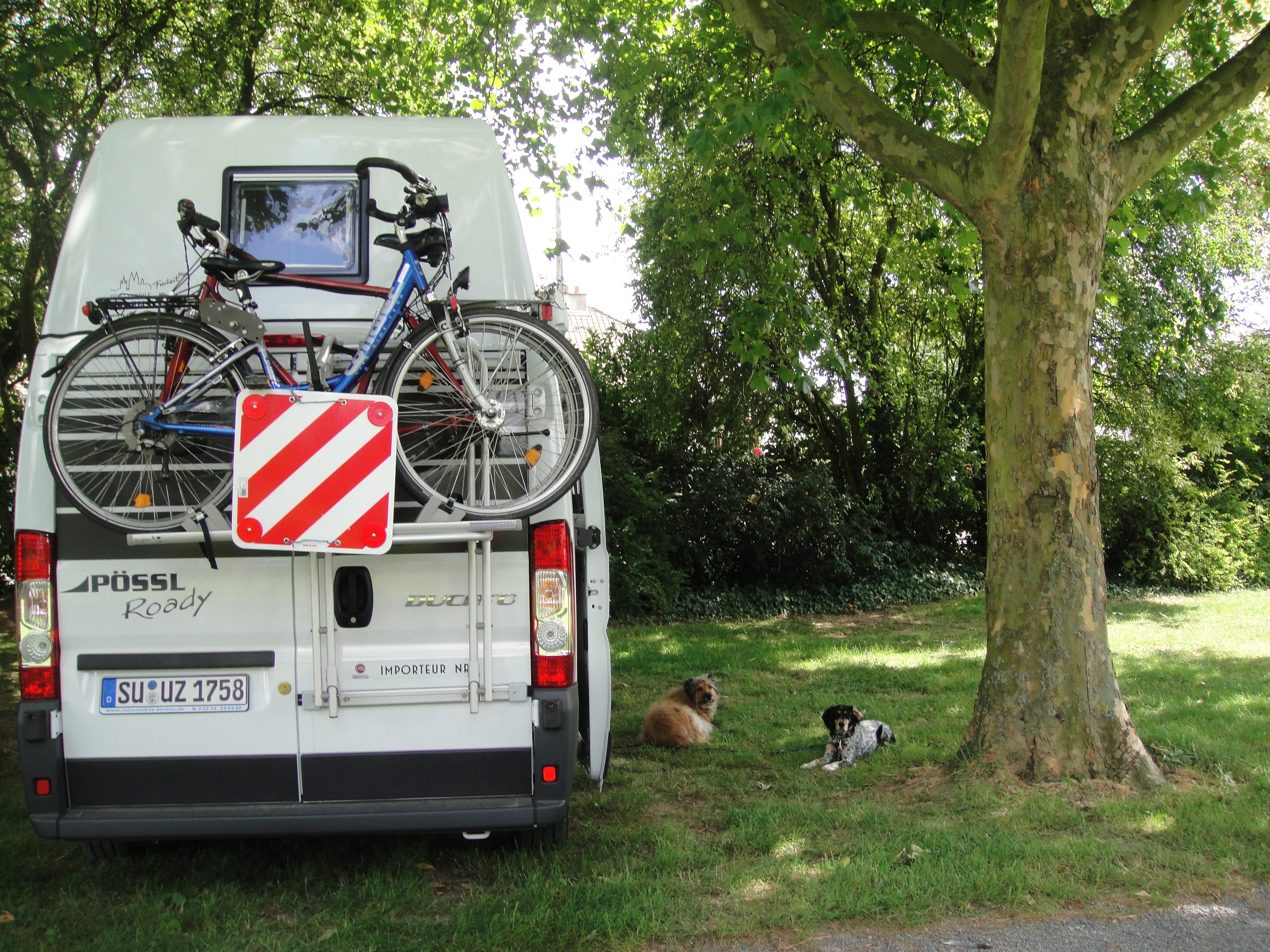 Camping de l'Aigrette