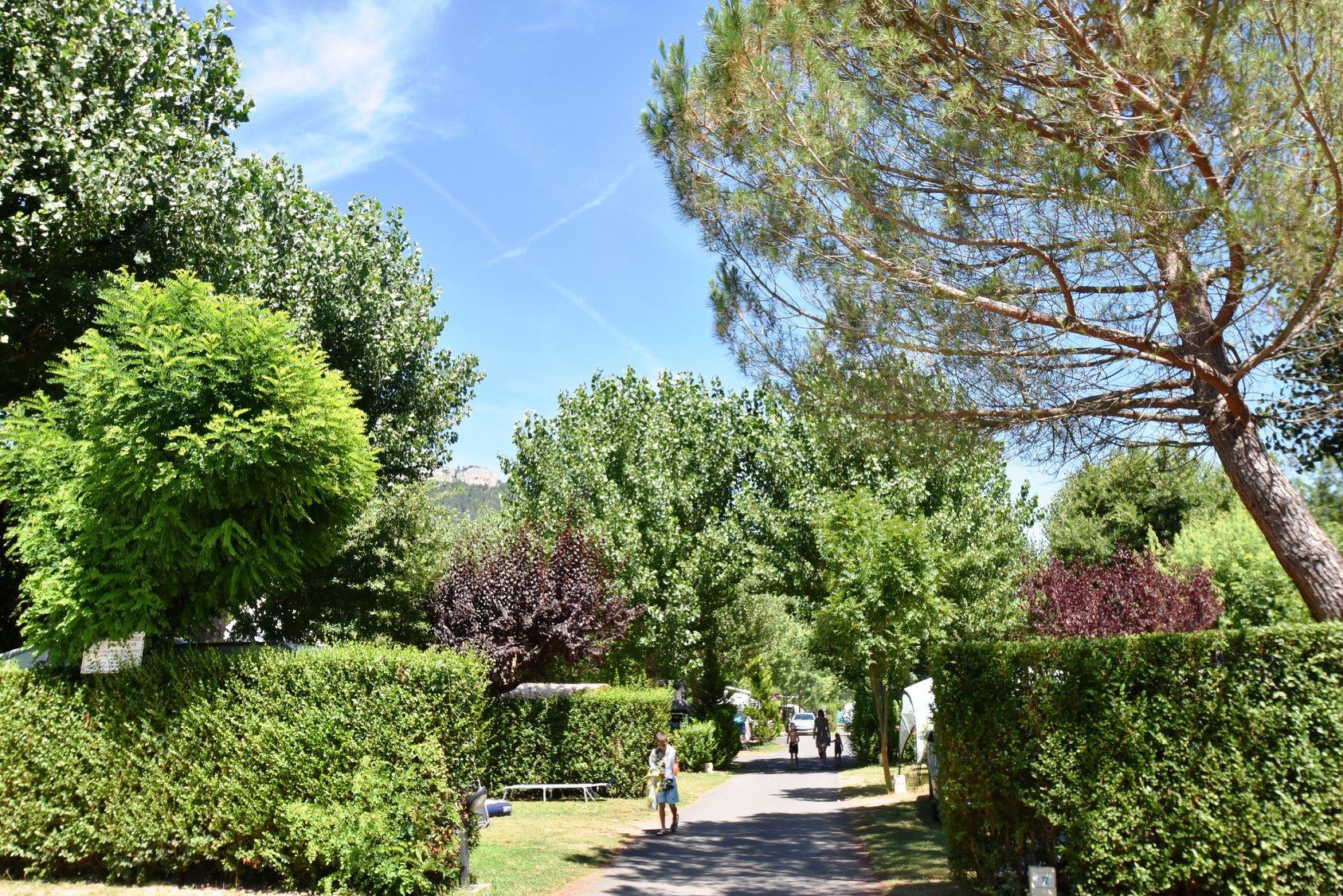 Camping Canoë Gorges du Tarn
