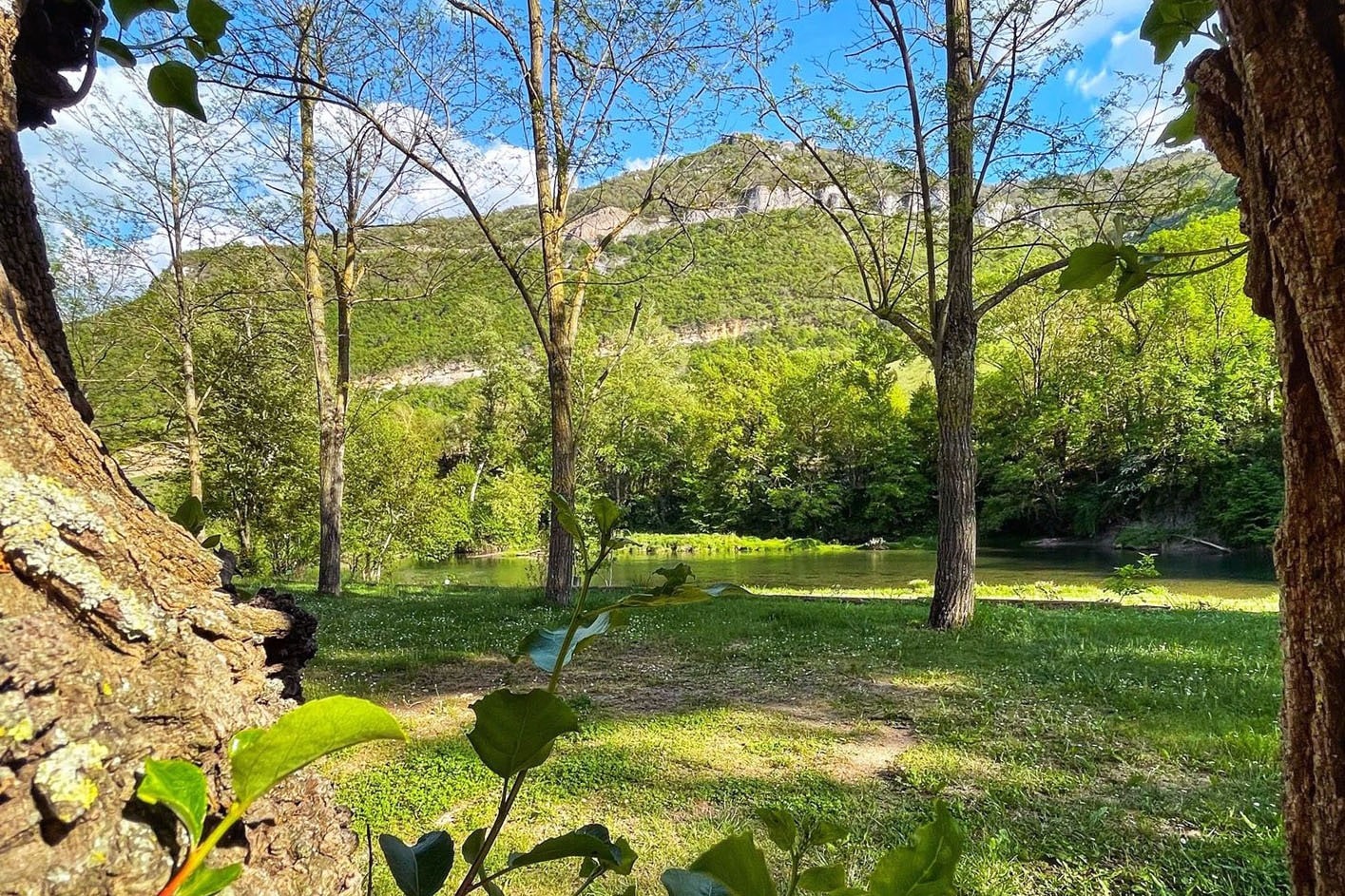 Flower Camping St. Lambert