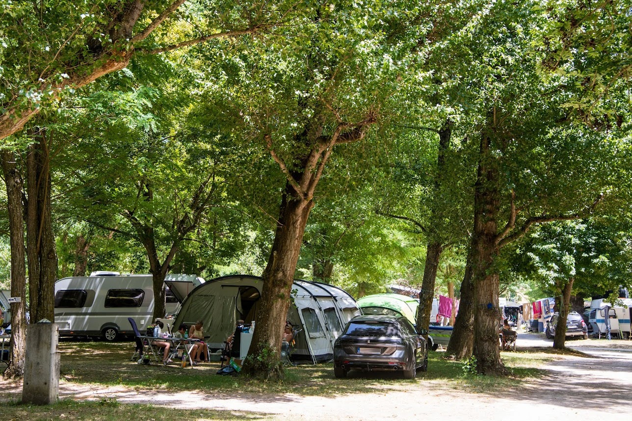 Flower Camping St. Lambert