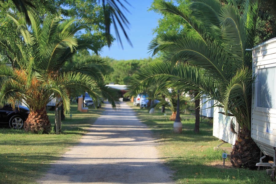 Camping Le Neptune