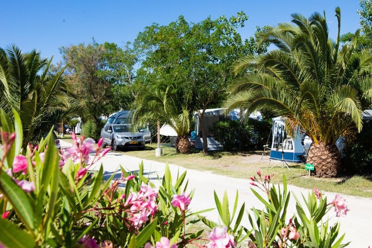 Camping Le Neptune