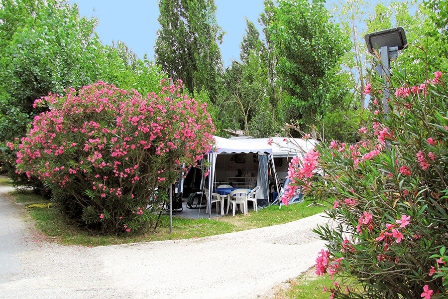 Camping L'Escale