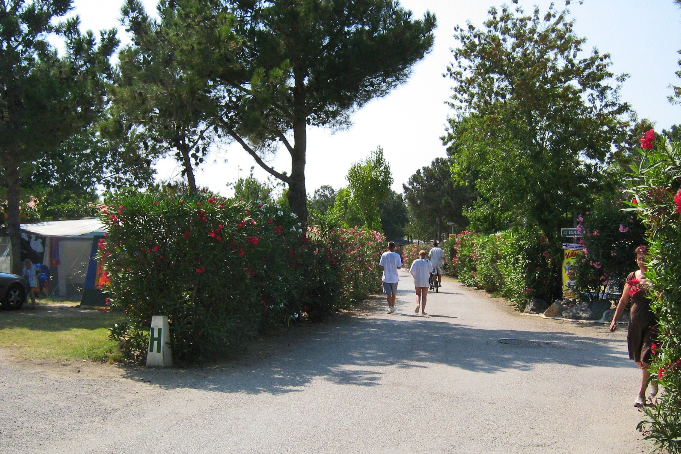 Camping Le Trivoly