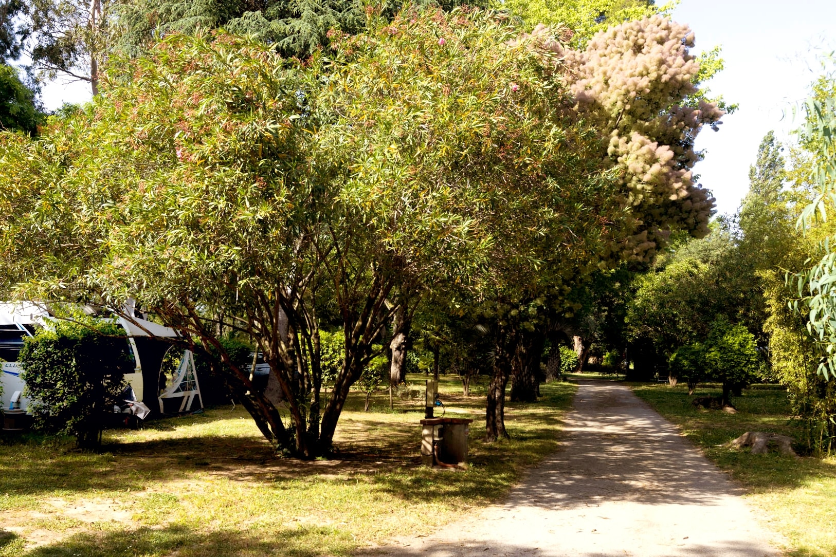 Camping Le Haras