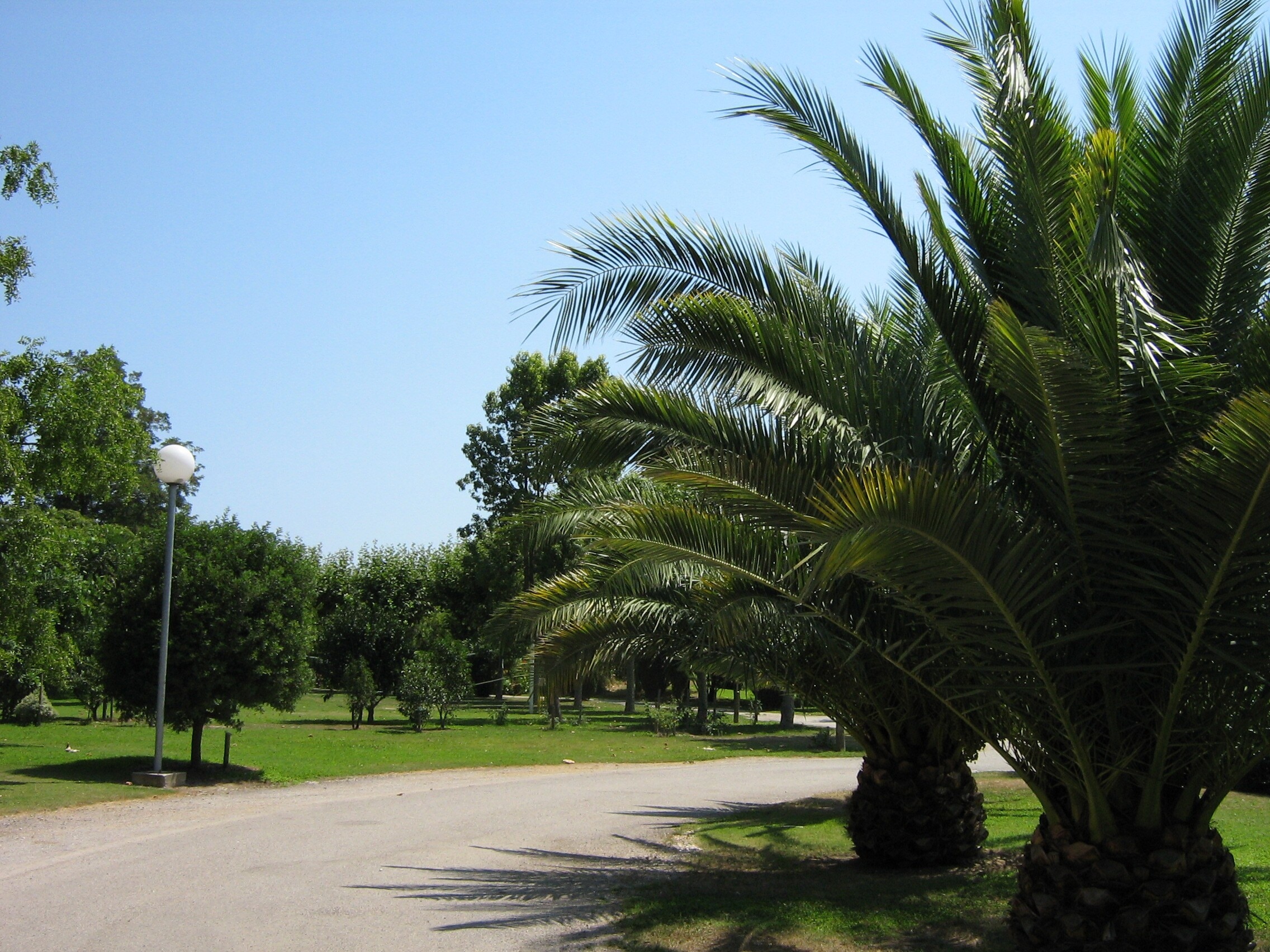 Camping Le Haras