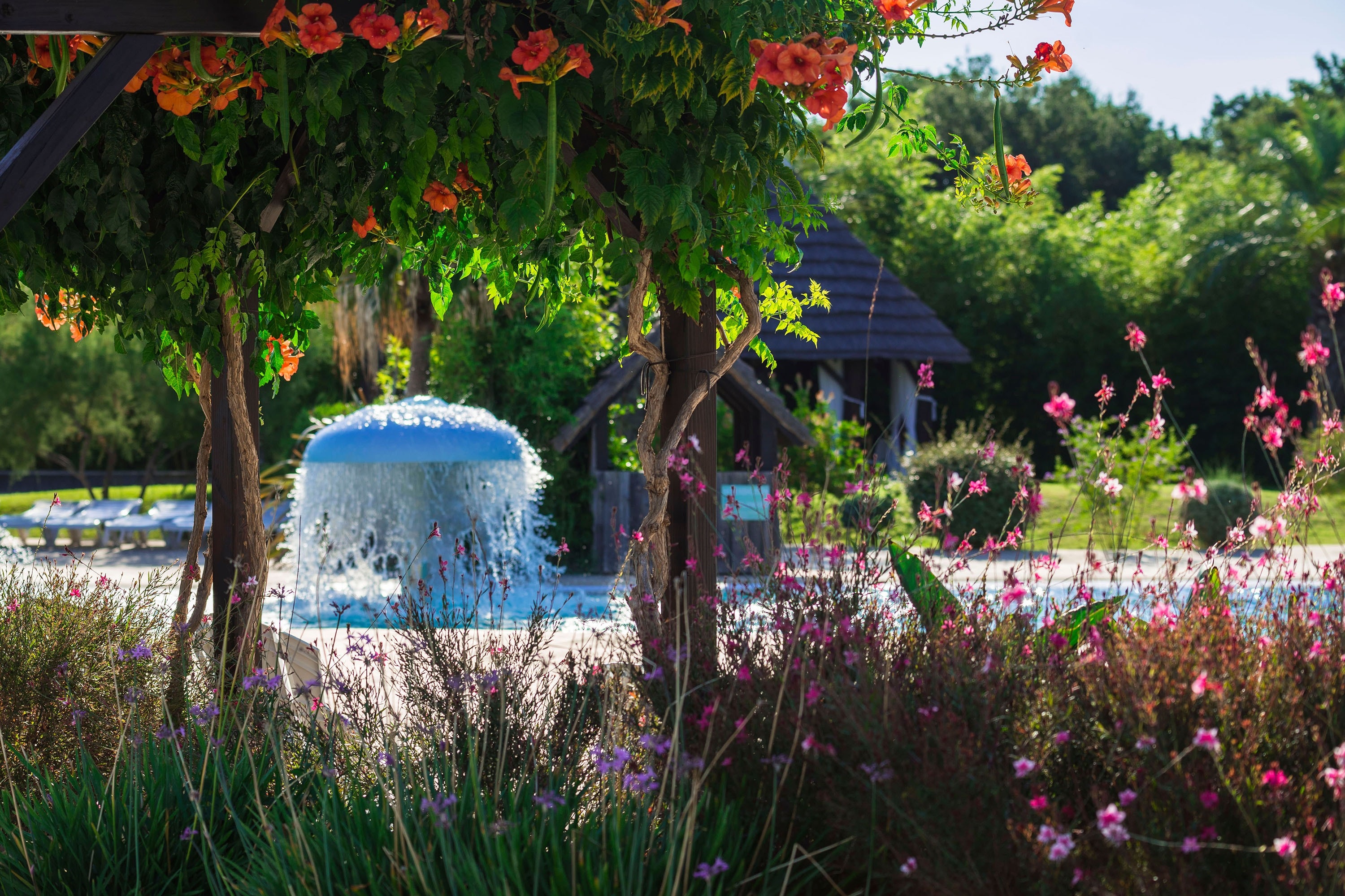 Camping Le Dauphin