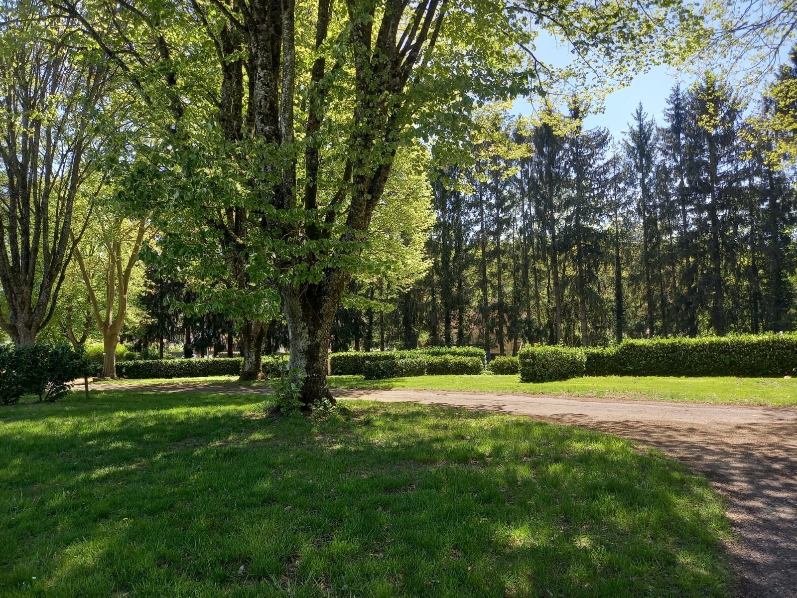Camping Les Premières Vignes Onlycamp