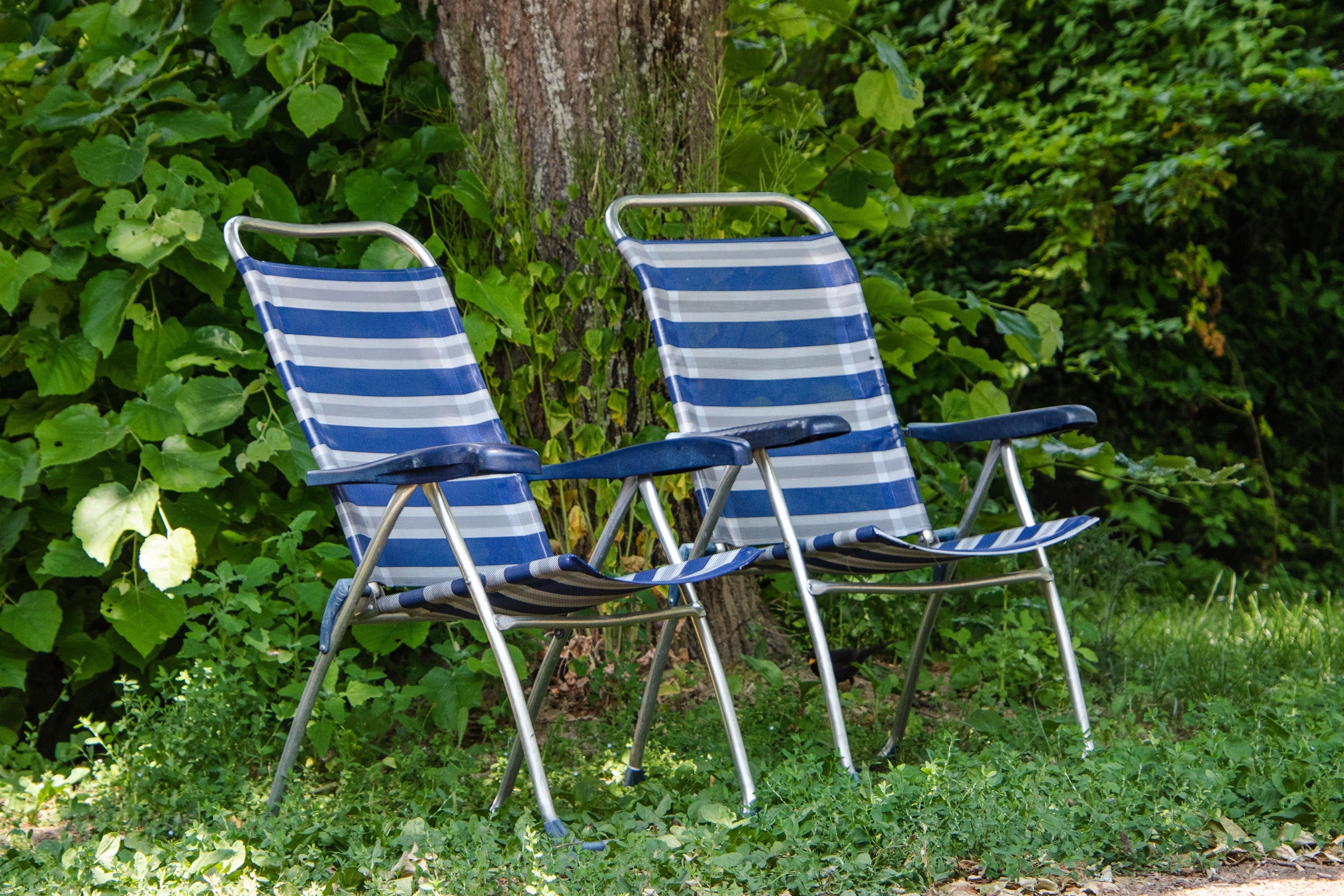 Camping Les Premières Vignes Onlycamp