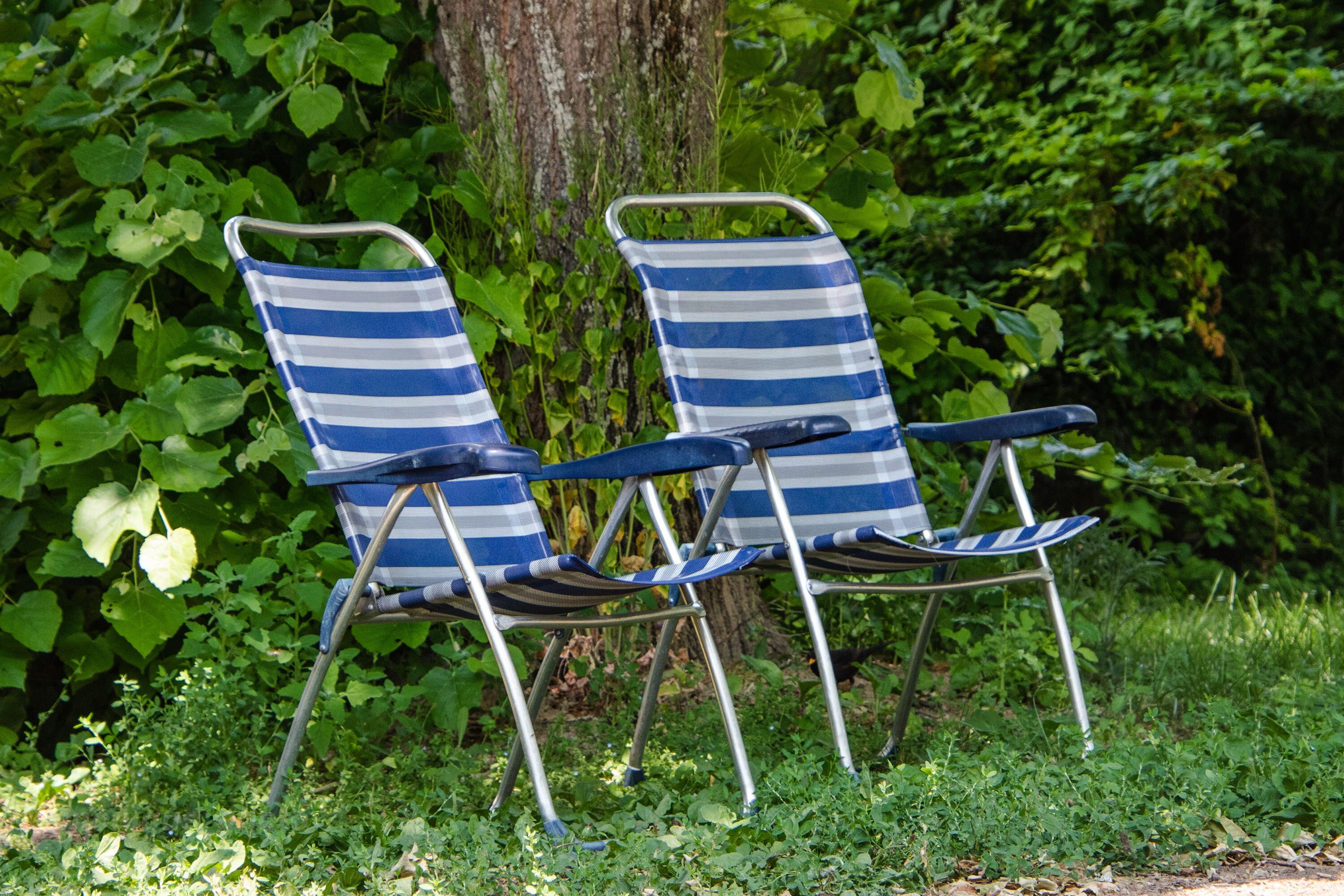Camping Les Premières Vignes Onlycamp