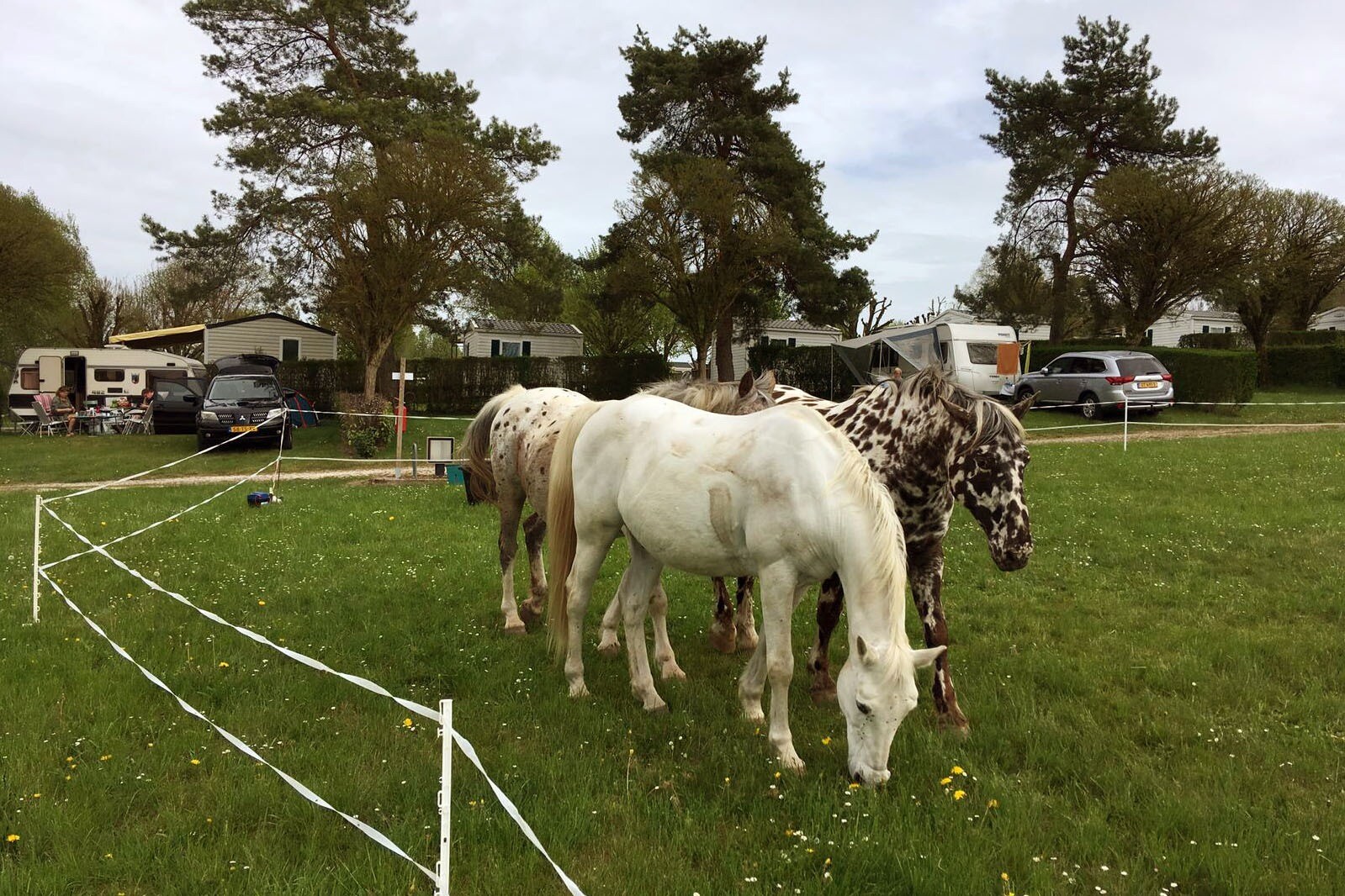Camping Montmorency
