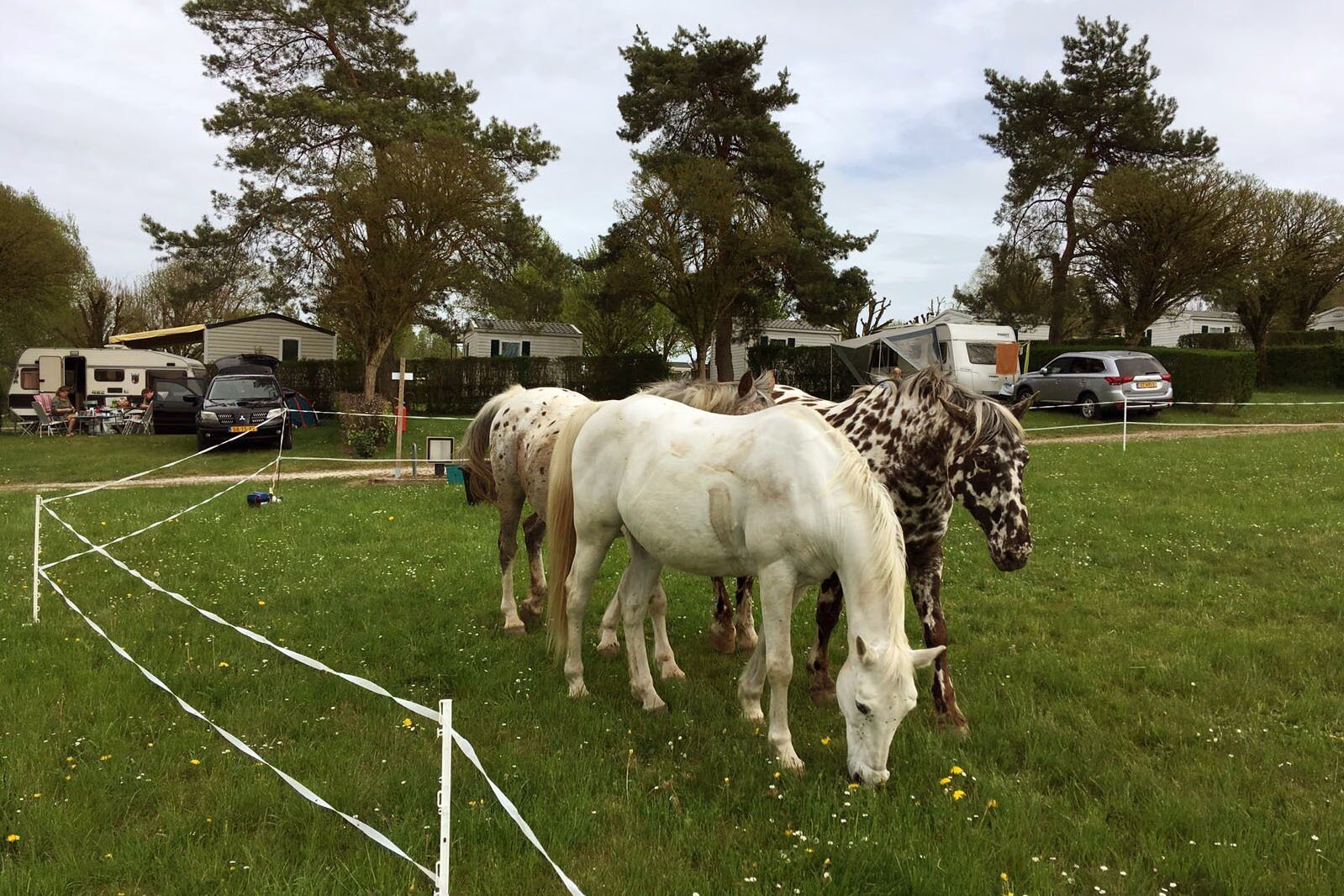 Camping Montmorency