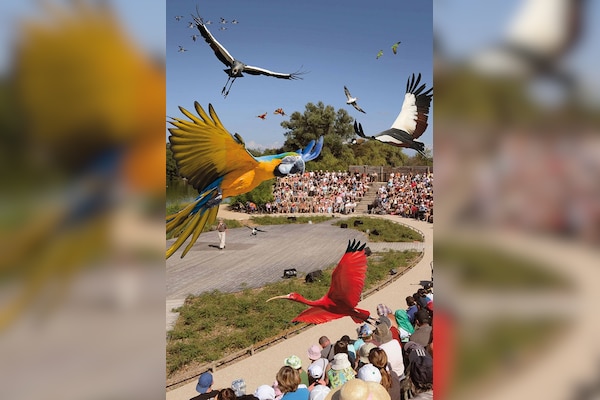 Camping Le Nid du Parc